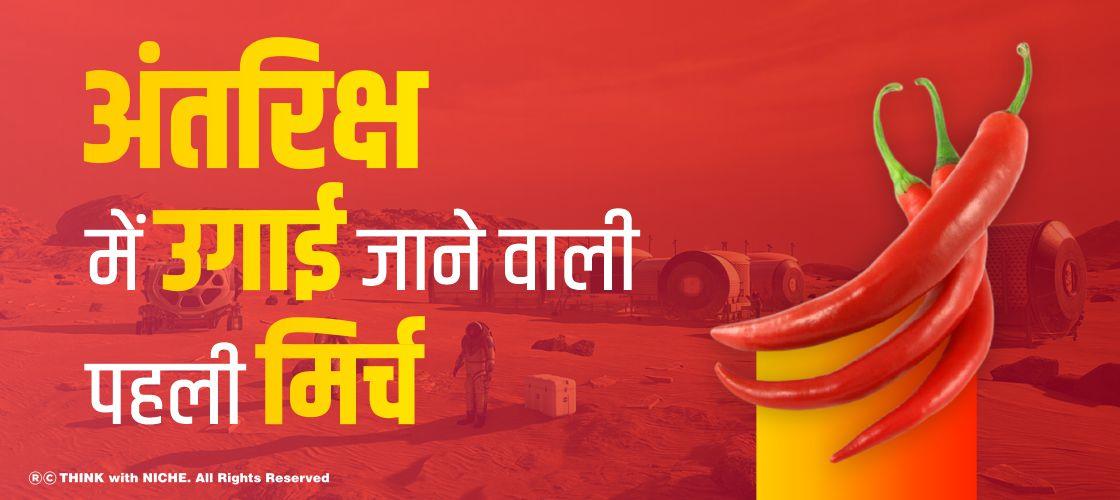 the-first-pepper-to-be-grown-in-space